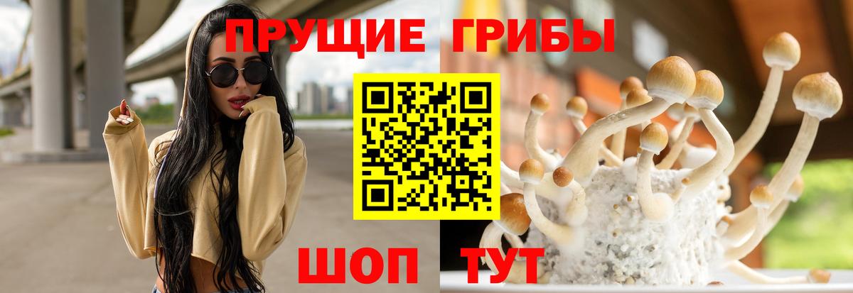 Псилоцибиновые грибы ЛСД Александров